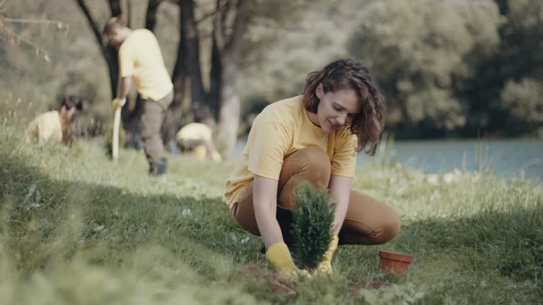 Lawn Pest Prevention in Richgrove, CA